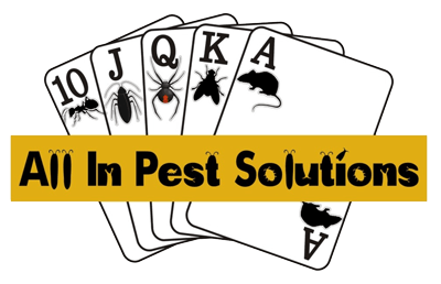 All In Pest Solutions